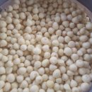 부여농장 이미지