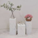 오킴스의원 이미지