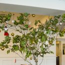 일마레(il mare) 이미지