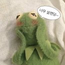 꿈꾸는바다캠핑장 - 2358 | 꿈꾸는바다캠핑장