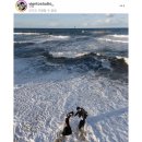 먹구봐통상 | 겨울예신의 강원도 스냅, 미기후📷