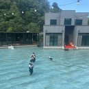 남이섬설리조트1 이미지