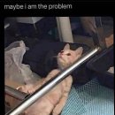 평화다나약국 | 2월마지막 그리고 3월 시작 : 새학기 시작, 브런치먹으며 힐링했던 3.1, 이번에 창원에서 서울로 오신...