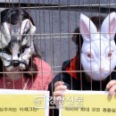 세브란스 동물병원 이미지