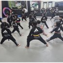 명품태권도장 이미지