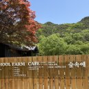 [창녕] 화왕산 등산 코스 옥천 매표소 | 숲속애 카페 추천 | 솔직 후기