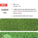 더바른몸 이미지