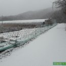 초천3리 이미지