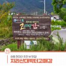 대박터 | 하동 현지인 추천 뷰 맛집! 지리산대박터고매감 산채비빔밥 후기