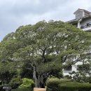 일월이일 | 제주 신라호텔 내부 시설 둘러보기