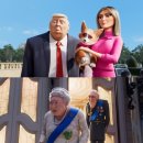 프린스 코기 이미지