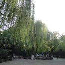 지난 3 - 표돌천을 보능 도중에 5.3 기념당을 구경하다! 이미지