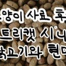 선일시니어 이미지