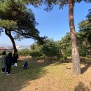 송정바다약국 이미지