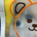 동해번쩍 서해번쩍