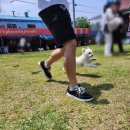 더멍멍컴퍼니 | [강아지유치원] 충북 청주 더멍멍컴퍼니 가정의달 멍운동회 천연잔디 운동장에서 신나는 후기