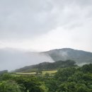 종교단체 자연장지 이미지