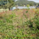 신산4리마을회관 이미지