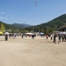 다부초교 이미지