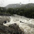 '나크리' 기록적 폭우...제주 곳곳 피해 속출 이미지