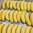 해솔한방병원 이미지