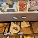 뚱이애견 | 파주 마장호수 카페 "더스카이카페" 파주카페추천 파주 애견동반 카페 다녀온 후기!