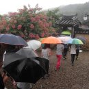 대구일중학교 이미지