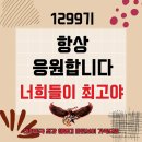 11월 8일(수)제주 9여단 날씨 이미지