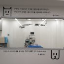 펫힐링센터 이미지