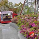 국공립레이크2차어린이집 Daum카페