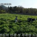 파티콩콩