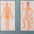 백세시대 이미지