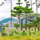 포미나미용실