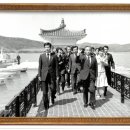 박정희로-10 한겨레