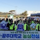 대봉인력