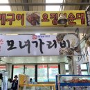 [속초 맛집] 모녀가리비 / 혜영이네튀김 / 현희네 활어 솔직 후기 대포항 맛집 오징어순대 사랑해요