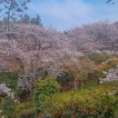 신흥동 라인댄스 이미지