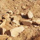 진웅농장 이미지