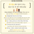 홍이줄눈 네이버블로그