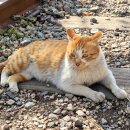 몽글몽글 이미지