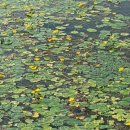 한림정역 이미지