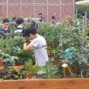 대이 초등학교 이미지