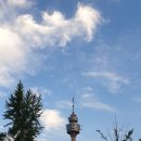 가-83 | 대구 가볼만한곳 이월드 83타워 전망대 뚜벅이 후기 내돈내산(25.06.23)