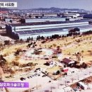 삼호자판기 네이버블로그