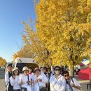 [포항 축제 어야둥둥 단체사진💛⭐️] 힐링 제대로...💕☺️❤️ 이미지