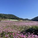 꿈앤들 통기타 이미지