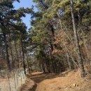 국가산단북로 | 대구 달성군 등산 추천, 짧고 굵은 "대니산" 후기