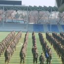 대해관광여행사(주) | (부산에서)논산 육군훈련소 수료식 후기