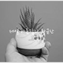 생활한복 중급반 이미지