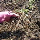 선화농장 이미지